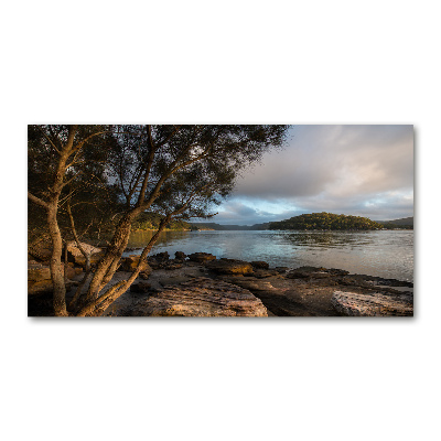 Glazen schilderij Een boom aan de rivier