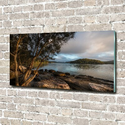 Glazen schilderij Een boom aan de rivier