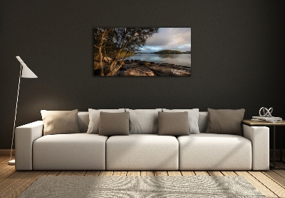 Glazen schilderij Een boom aan de rivier