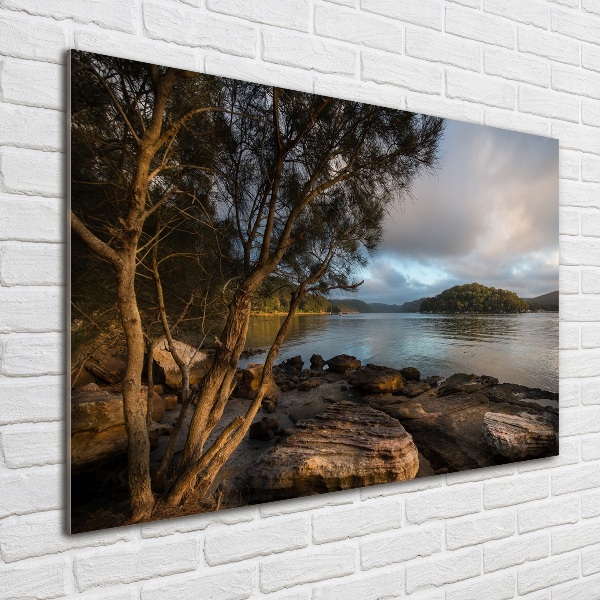 Glazen schilderij Een boom aan de rivier