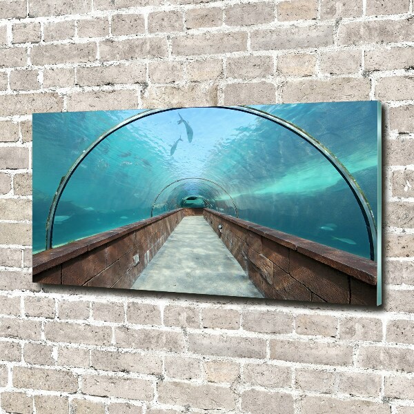 Schilderij op glas Aquariumtunnel