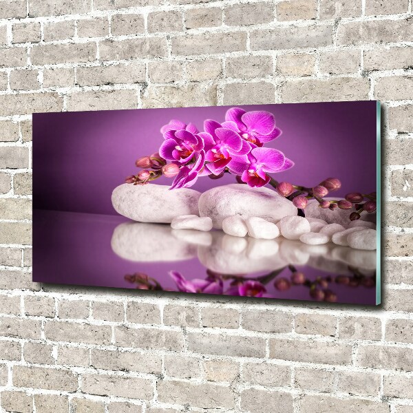Schilderij glas Roze orchidee