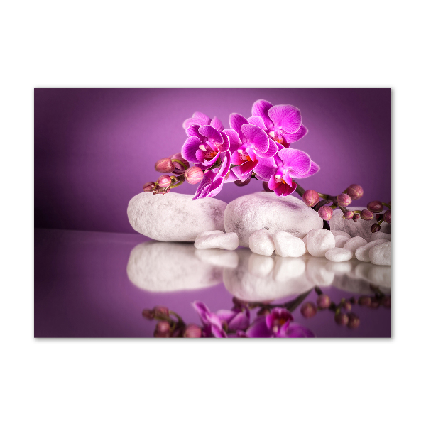 Schilderij glas Roze orchidee