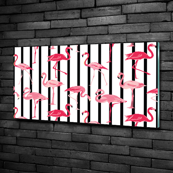 Foto schilderij op glas Gestreepte flamingo's