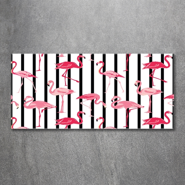 Foto schilderij op glas Gestreepte flamingo's