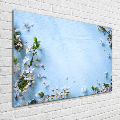 Schilderij op glas Achtergrond met kersenbloesems