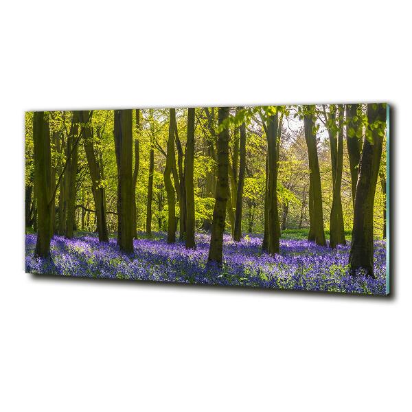Foto schilderij op glas Bos in de lente