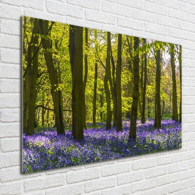 Foto schilderij op glas Bos in de lente