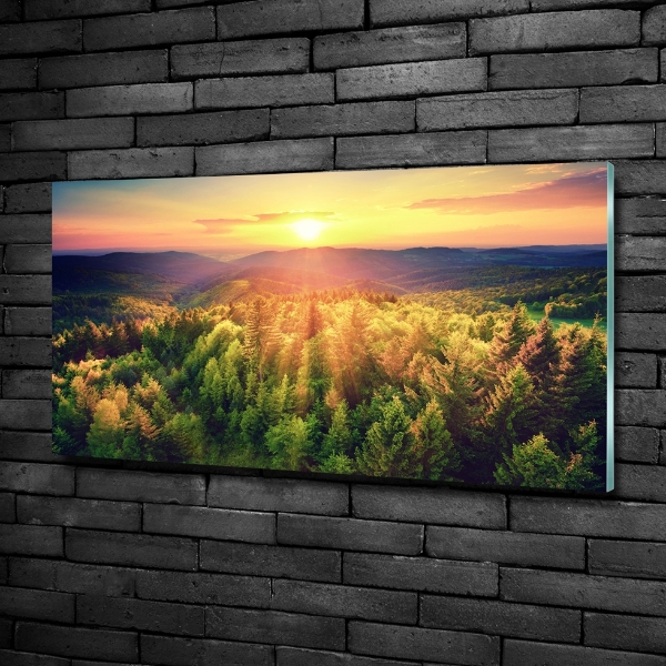 Schilderij glas Zonsondergang in het bos