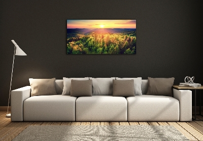 Schilderij glas Zonsondergang in het bos