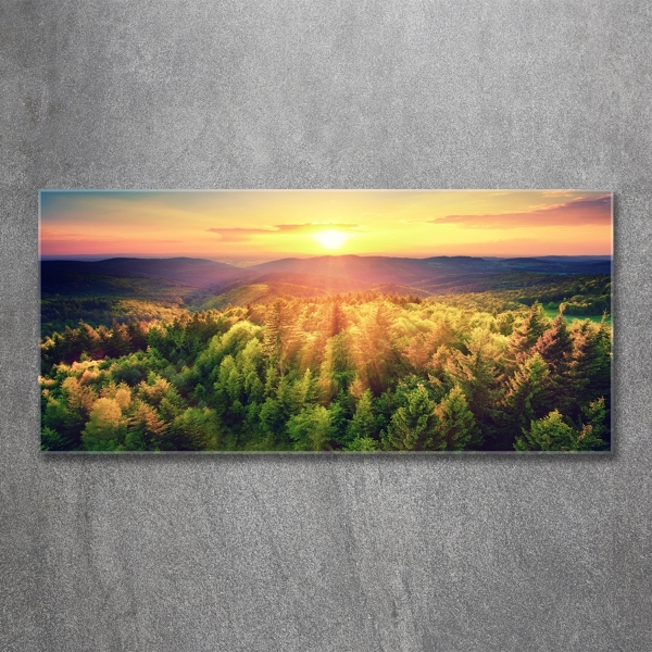 Schilderij glas Zonsondergang in het bos