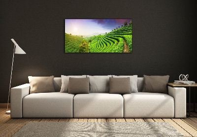 Glazen schilderij theeplantage
