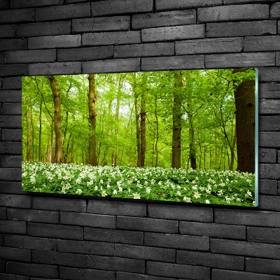 Schilderij glas Bloemen in het bos
