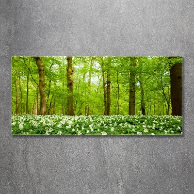 Schilderij glas Bloemen in het bos