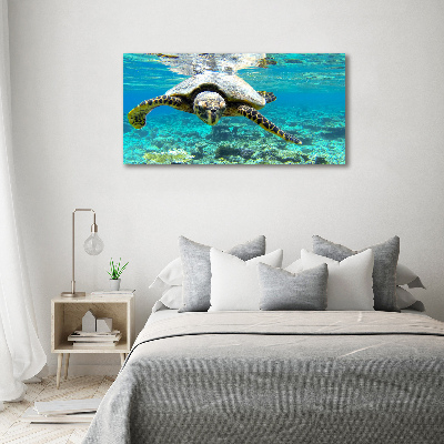 Schilderij glas Zeeschildpad