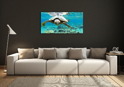 Schilderij glas Zeeschildpad
