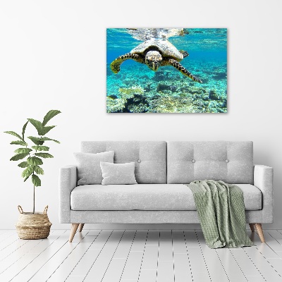 Schilderij glas Zeeschildpad