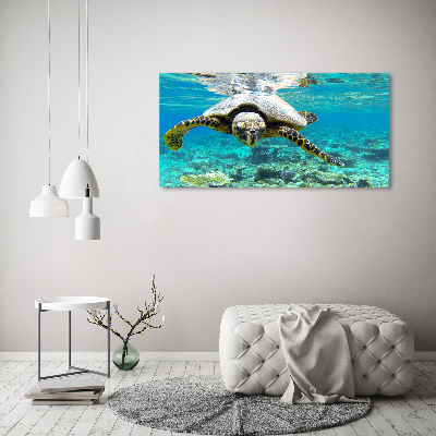 Schilderij glas Zeeschildpad