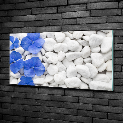 Schilderij op glas Hortensia