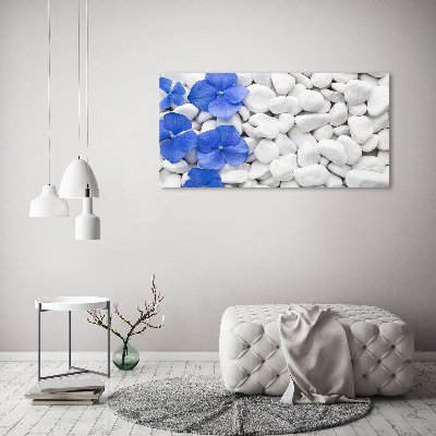 Schilderij op glas Hortensia