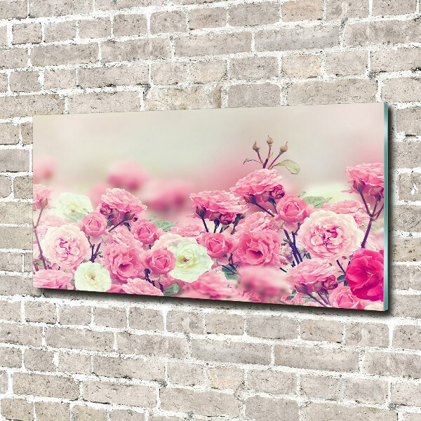 Schilderij glas Wilde rozenbloemen