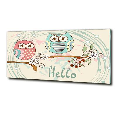 Schilderij op glas Uilen