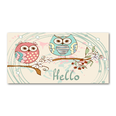 Schilderij op glas Uilen