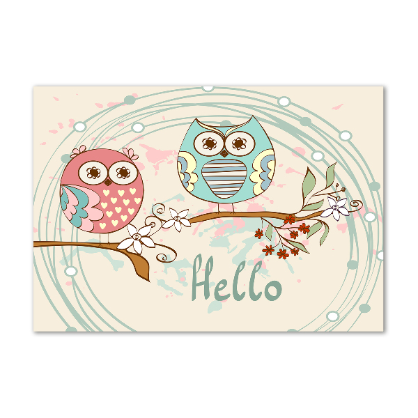 Schilderij op glas Uilen