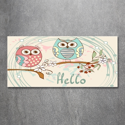 Schilderij op glas Uilen