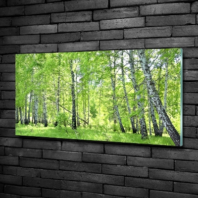 Foto schilderij op glas Berkenbos