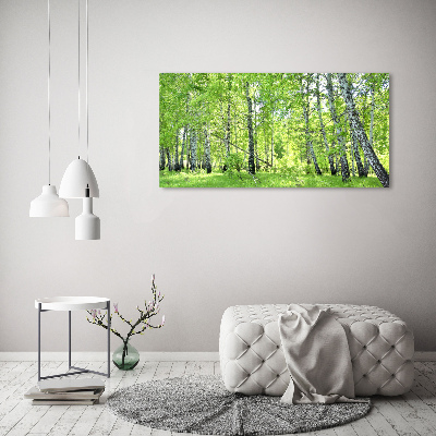 Foto schilderij op glas Berkenbos