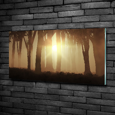 Schilderij op glas Mist in het bos