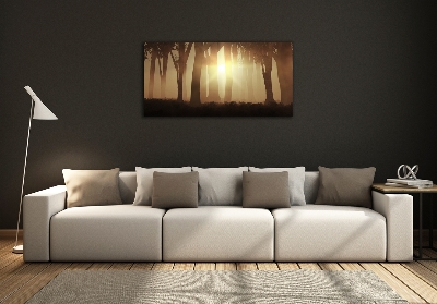 Schilderij op glas Mist in het bos