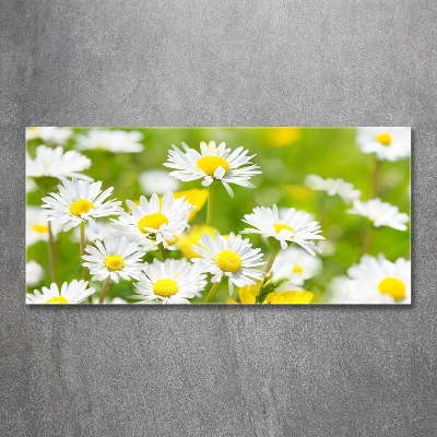 Glazen schilderij Madeliefjes