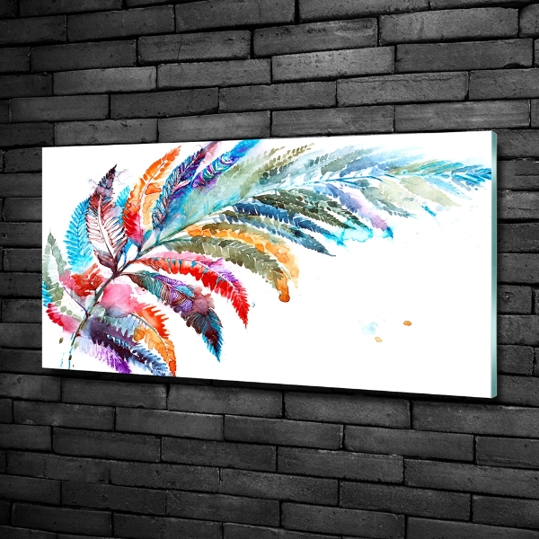 Glazen schilderij Kleurrijke veer
