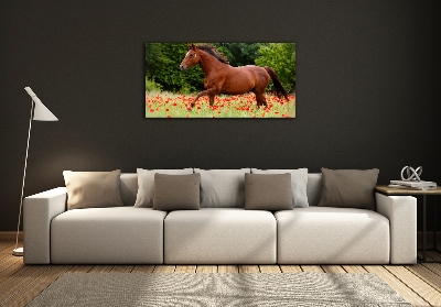 Glazen schilderij Een paard in een veld vol klaprozen