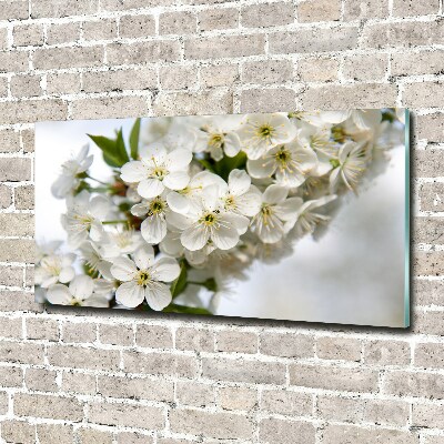 Schilderij glas Kersenbloesems