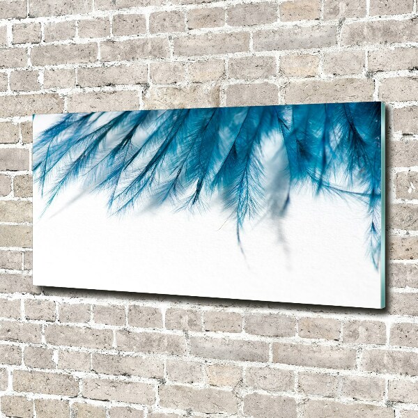 Glazen schilderij Blauwe veren