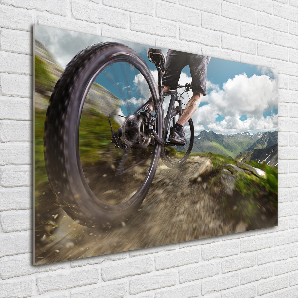 Schilderij glas Mountainbiken
