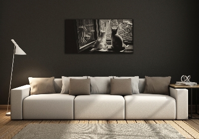 Foto schilderij op glas Katten voor het raam