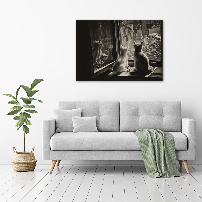 Foto schilderij op glas Katten voor het raam