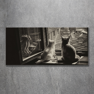 Foto schilderij op glas Katten voor het raam
