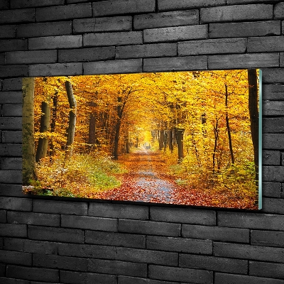 Glazen schilderij Bos in de herfst