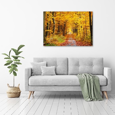 Glazen schilderij Bos in de herfst