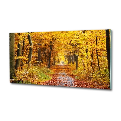 Glazen schilderij Bos in de herfst