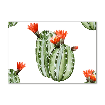 Glazen schilderij Cactussen