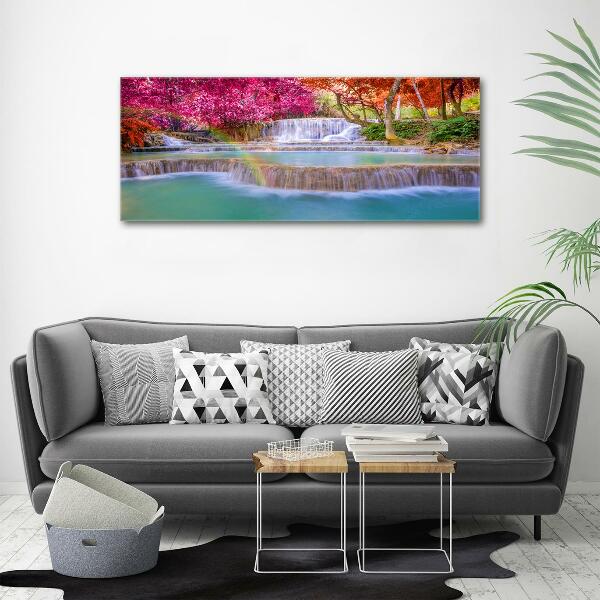 Schilderij op glas Waterval in het bos