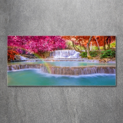 Schilderij op glas Waterval in het bos