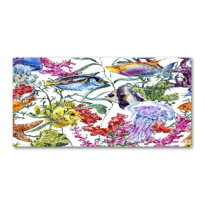 Foto schilderij op glas Koraalrif