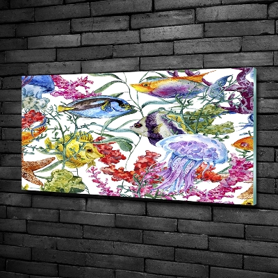 Foto schilderij op glas Koraalrif